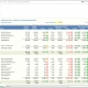 Profit & Loss with Exchange Rate Analysis Report Example