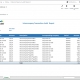Intercompany Transaction Audit Report Example