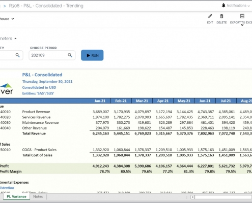 Consolidated Profit & Loss Monthly Trend Report Example