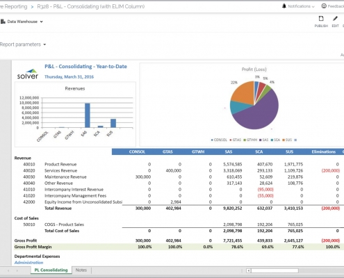 Consolidating Profit & Loss Report Example