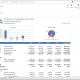 Consolidating Year-to-Date Profit & Loss Report Example