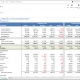 Monthly Profit & Loss Report with Budget and Forecast Variances Example