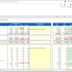 Profit & Loss Report with Text Comment Column Example