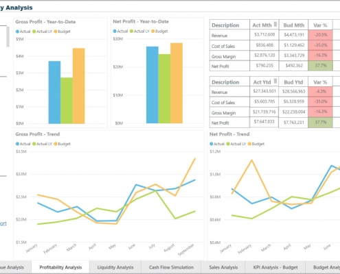 Profitability Dashboard Example