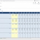 Salary Budget Allocation to Grants for Nonprofits - Example