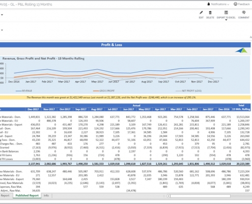 13 Month Rolling Profit & Loss Report Example