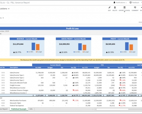 Monthly Profit & Loss Variance Report Example