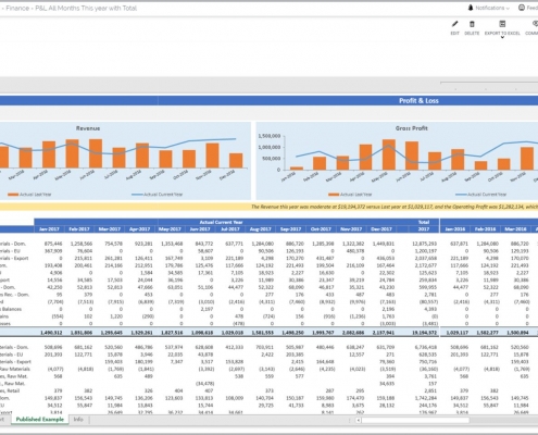 Profit & Loss Report Example with Trend Analysis