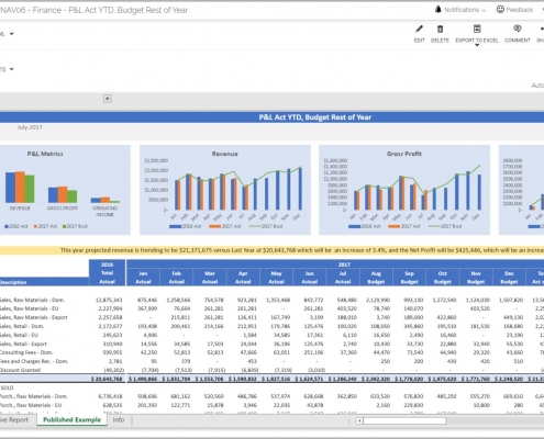 Profit & Loss Report Example with Automated Full Year Estimate