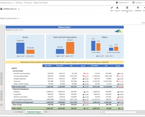 Modern Balance Sheet Variance Report Example with KPI Analysis