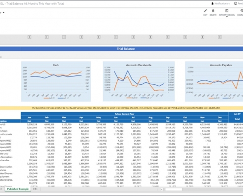 Trial Balance Monthly Trend Report Example