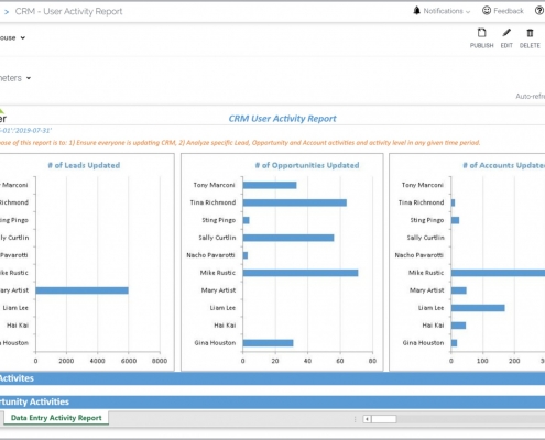 CRM User Activity Report Example