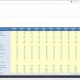 Statistical Budget Model Example for a Healthcare Provider