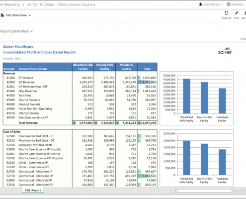 Consolidated Profit & Loss Report for a Healthcare Provider