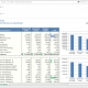 Consolidated Profit & Loss Report for a Healthcare Provider