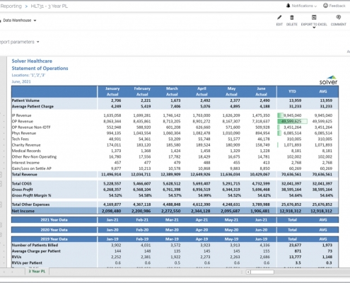 Statement of Operations Report Example for a Healthcare Provider