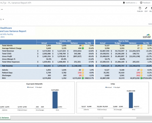 Example of a Profit & Loss Report with KPIs for a Healthcare Provider