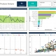 Example of a Customer and Product Revenue Dashboard for Distributors