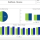 Example of a Revenue Dashboard for Healthcare Providers