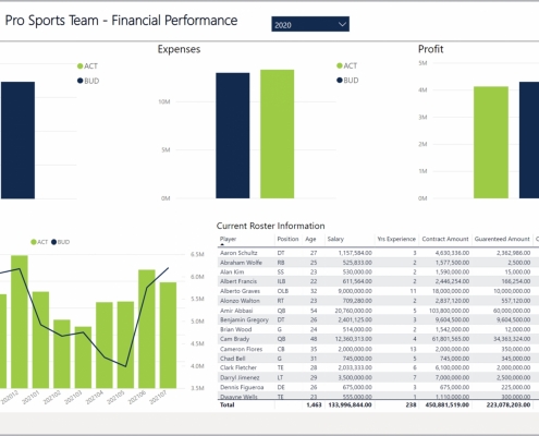 Example of a Financial Dashboard for Professional Sports Teams