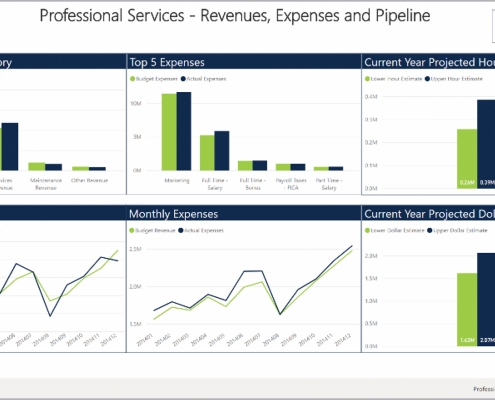 Example of a Revenue and Expense Dashboard for a Professional Services Company