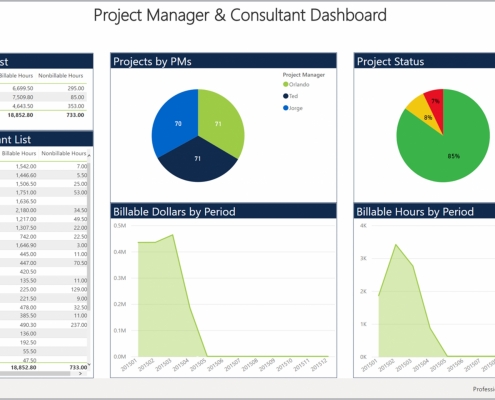 Example of a Project Dashboard for a Professional Services Company