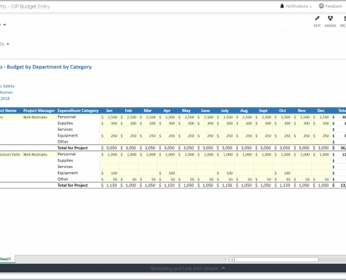 Example of a Capital Project Budget for Public Sector Organizations