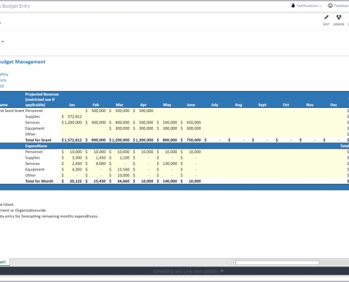 Example of a Grant Budget Input Model