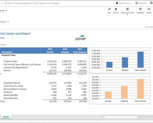 Example of a Revenue and Expenditure Budget Report by Fund for Public Sector Organizations