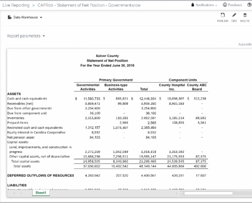 Example of a CAFR Statement of Net Position for State and Local Governments