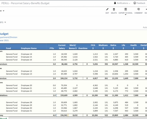 Example of a Personnel Budget Report for Public Sector Organizations