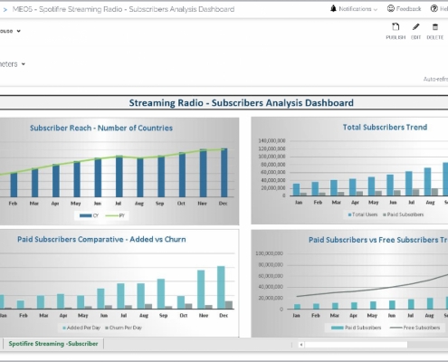 Example of a Subscriber Dashboard for streaming radio media companies