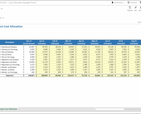 Example of a Drug Project Cost Budget for Pharma Companies