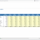 Example of a Drug Project Cost Budget for Pharma Companies