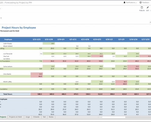 Example of a Project Hours by Consultant Report for Professional Service Companies