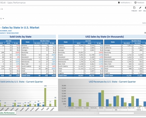 Example of a Regional Sales Report for Real Estate Companies