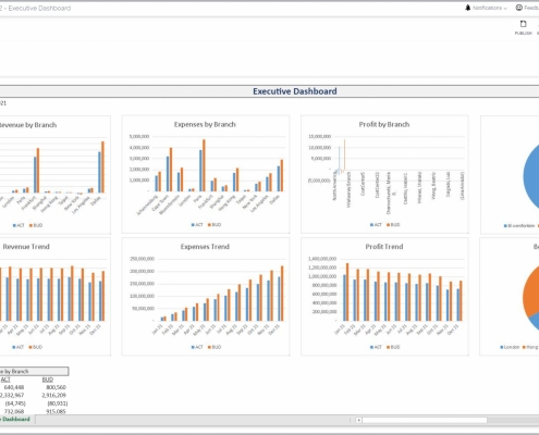 Example of an Executive Dashboard for Credit Unions