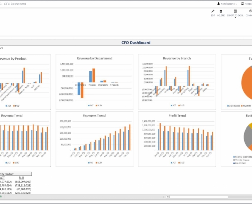 Example of a CFO Dashboard for Credit Unions