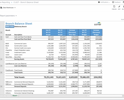 Example of a Balance Sheet Report for credit union branches