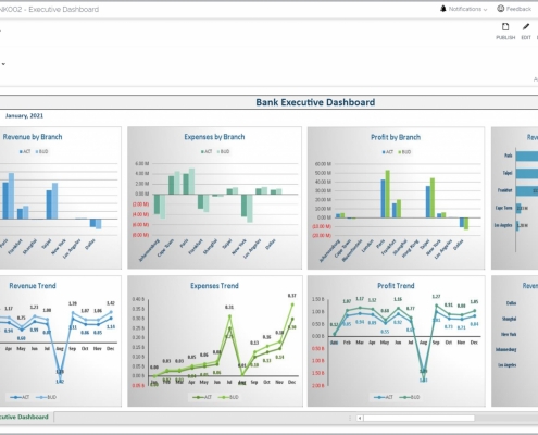 Example of an Executive Dashboard for Banks