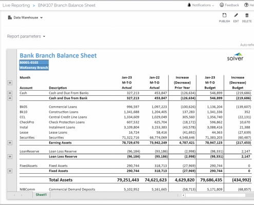 Example of a Balance Sheet Report for Bank Branches