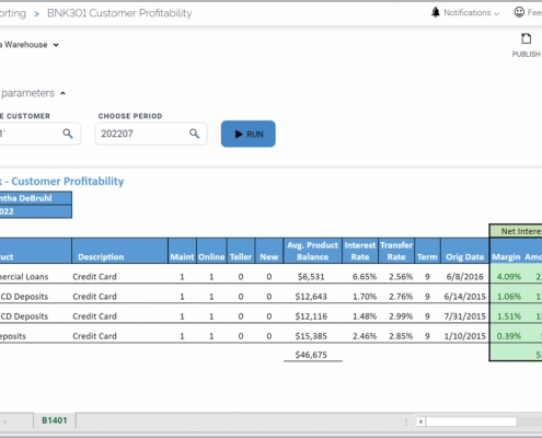 Example of a Profitability by Customer Report for Banks