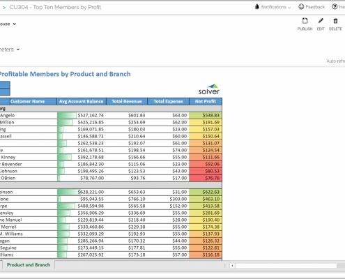 Example of a Top Ten Members by Profitability Report for credit unions