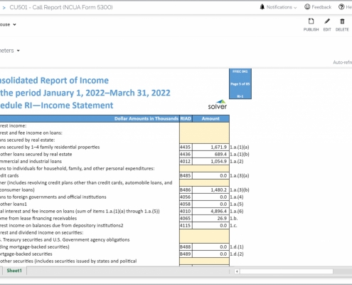 Example of a Form 5300 Template for NCUA Call Reporting