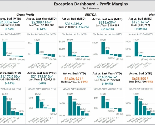 Example of an Profitability Exception Dashboard to Streamline the Monthly Analysis Process