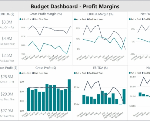 Example of a Profit Margin Budget Dashboard to Streamline the Planning Process