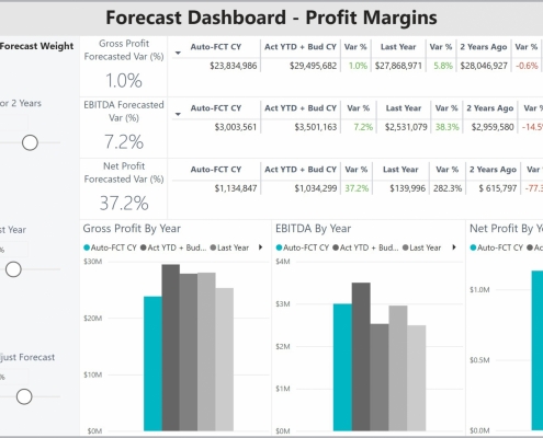 Example of a Profit Simulation Dashboard to Streamline the Modelling and Forecasting Process